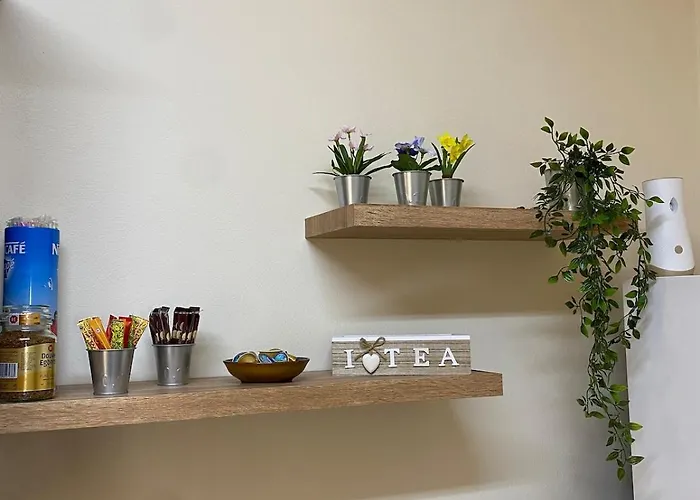 Kition Cozy * 拉纳卡